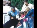 The Truth About Marine Mammal Encounter Programs (Narrative)