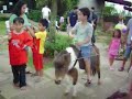 Pony Ride @ Residence Inn Zoo, Tagaytay City Pony Ride @ Residence Inn Zoo, Tagaytay City