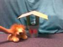 Garbonzo's Adventures #4