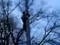 Hoehli am Mast