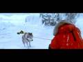  - MovieZen Video