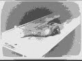 Mortuus Sensus - Mortuary Mortuus Sensus - Mortuary