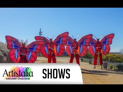 Mariposas en Zancos ( Artistalia )