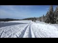 Skilanglauf im Hochschwarzwald Todnauer Hütte richtung Notschrei