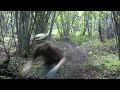 gillard sesh gillard sesh