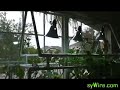 Built Low watt light canopy for my Aeroponic / hydroponic Built Low watt light canopy for my Aeroponic / hydroponic