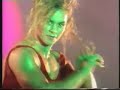 POP WILL EAT ITSELF 
