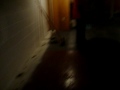 101_0007.MOV