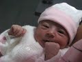 Bienvenida! Alana Alfaro