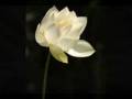 Death and Immortality Part 1 of 3