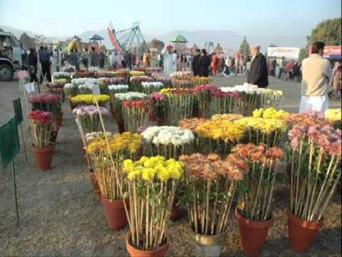 fatima jinnah park - Fatima Jinnah Park - Islamabad Pakistan.