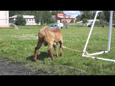 YouTube &ETH;&cent;&Ntilde;&ETH;&micro;&ETH;&sup1;&ETH;&raquo;&ETH;&micro;&Ntilde;