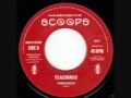 Vibronics - Teachings