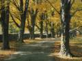 violin musica clasica