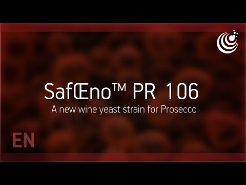 SafŒno™ PR-106 by Fermentis - Launching now - A new wine yeast strain for Prosecco