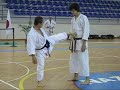 kagawa sensei demonstrating maegeri and yokogeri kekomi