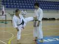Kagawa-sensei demonstrating maegeri and Yokogeri Kekomi