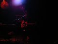 Autumn Shade - Dancing Widows Autumn Shade - Dancing Widows