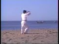 Bassai-Dai (Shotokai)
