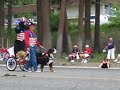 Bernese Mountain Dog Parade Bernese Mountain Dog Parade