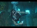 Shipwreck Diving - Russian Frigate in Cayman Shipwreck Diving - Russian Frigate in Cayman