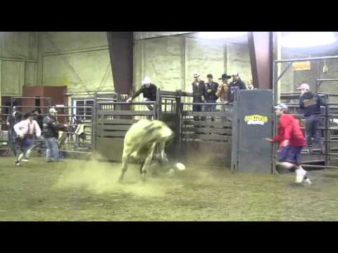 BODaciousX - SCC 001 (Bodacious X -F76) 2/5/13.