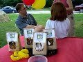 Westford Farmers Market
