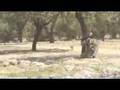australian RTF contact