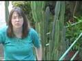 Reiki and sound healing in class with Jessica Miller
