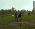 Zabó Airport Hannover  9 month old protection dog training
