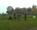Zabó Airport Hannover  9 month old protection dog training