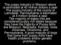 The Truth about Puppy Mills