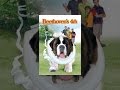 Beethoven's 4th