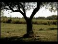 'Moments' by Hubert Davis