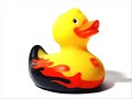 Rubber Ducky Song