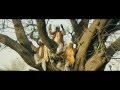 Matru ki Bijlee ka Mandola (2013) - Official Trailer #1 720p [HD]