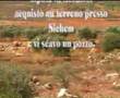 L'ARCA DELL'ALLEANZA