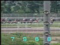 一個遮打盃 兩匹冠軍馬13/05/1995 (有性格, 開心人)「有性格」戰績 : 94/95年度香港馬王，打o比、香港金盃、香港冠軍暨遮打盃以及於香港金盃衛冕成功