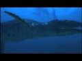 Liopleurodon - World's biggest animal