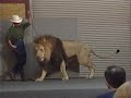 All TEASERS and BUMPERS from Aladdin VHS All TEASERS and BUMPERS from Aladdin VHS