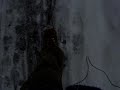??????