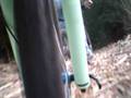 videos de Forestal cam