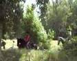 videos de Lits+Lauwers038 Hamsherne02