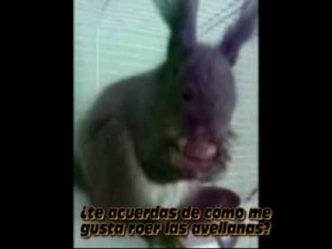 Imagen de previsualización de YouTube