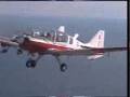 AFM AIR WING BULLDOG ACTION
