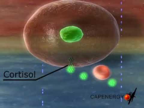 how to treat sciatica