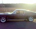 mustang