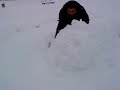MOV00017 MOV00017