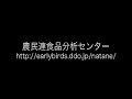 遺伝子組換えナタネ調査隊2006-三重国道23号編-GM Canola in  JAPAN -Mie R23 02-