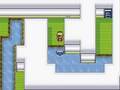 Shiny Gold: Trick House Again